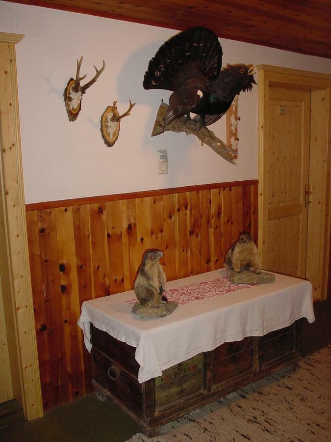 Pension - Bauernhof Sankt Lorenzen ob Murau Bagian luar foto